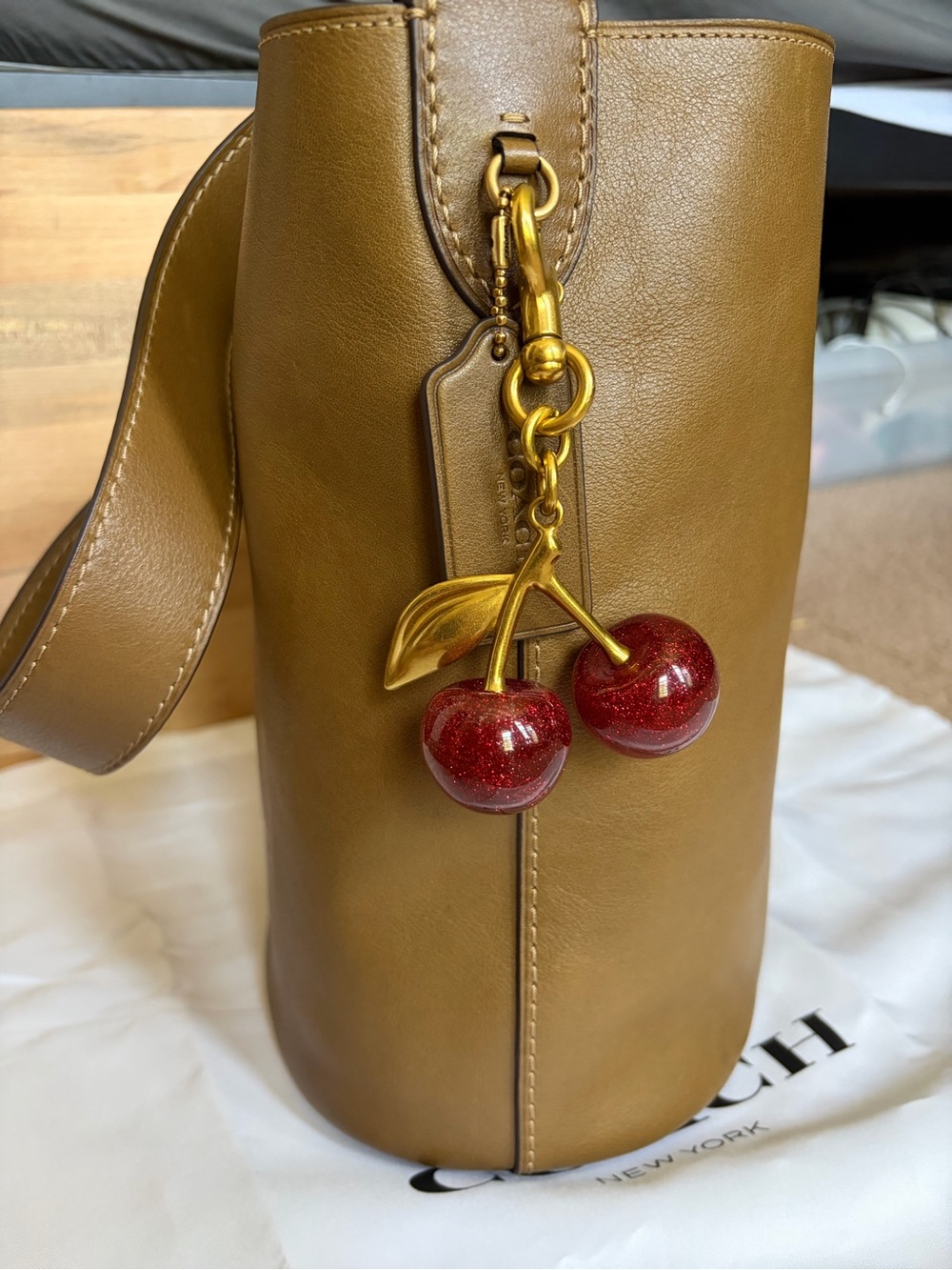 Coach Bleecker Bucket Bag Crossbody Smooth Leather/Brass/Muted Olive-Large Size - Picture 2 of 10